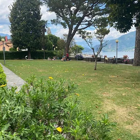 The Rose - Front Cremia