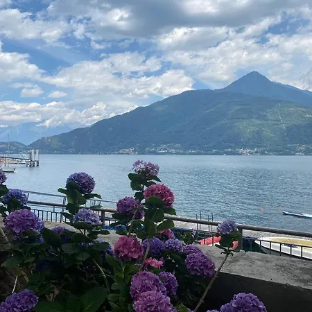 The Rose - Front Apartmán