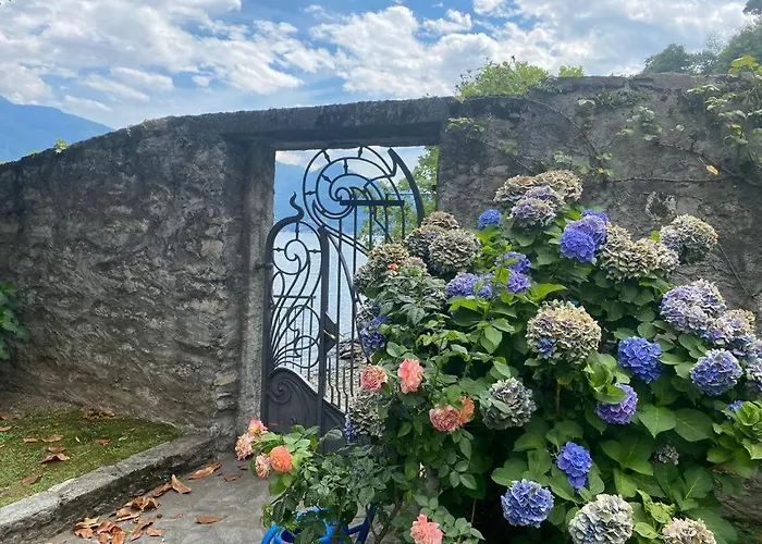The Rose - Front *